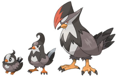 Image result for Starly, Staravia, and Staraptor