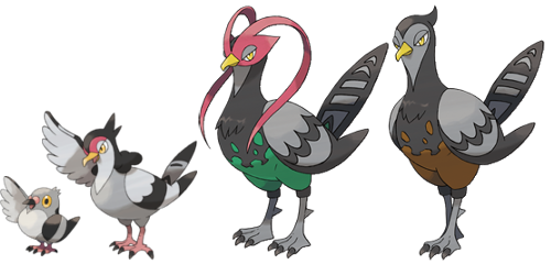 Image result for Pidove, Tranquill, and Unfezant