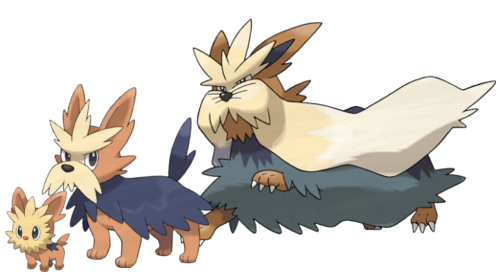 Image result for Lillipup, Herdier, and Stoutland