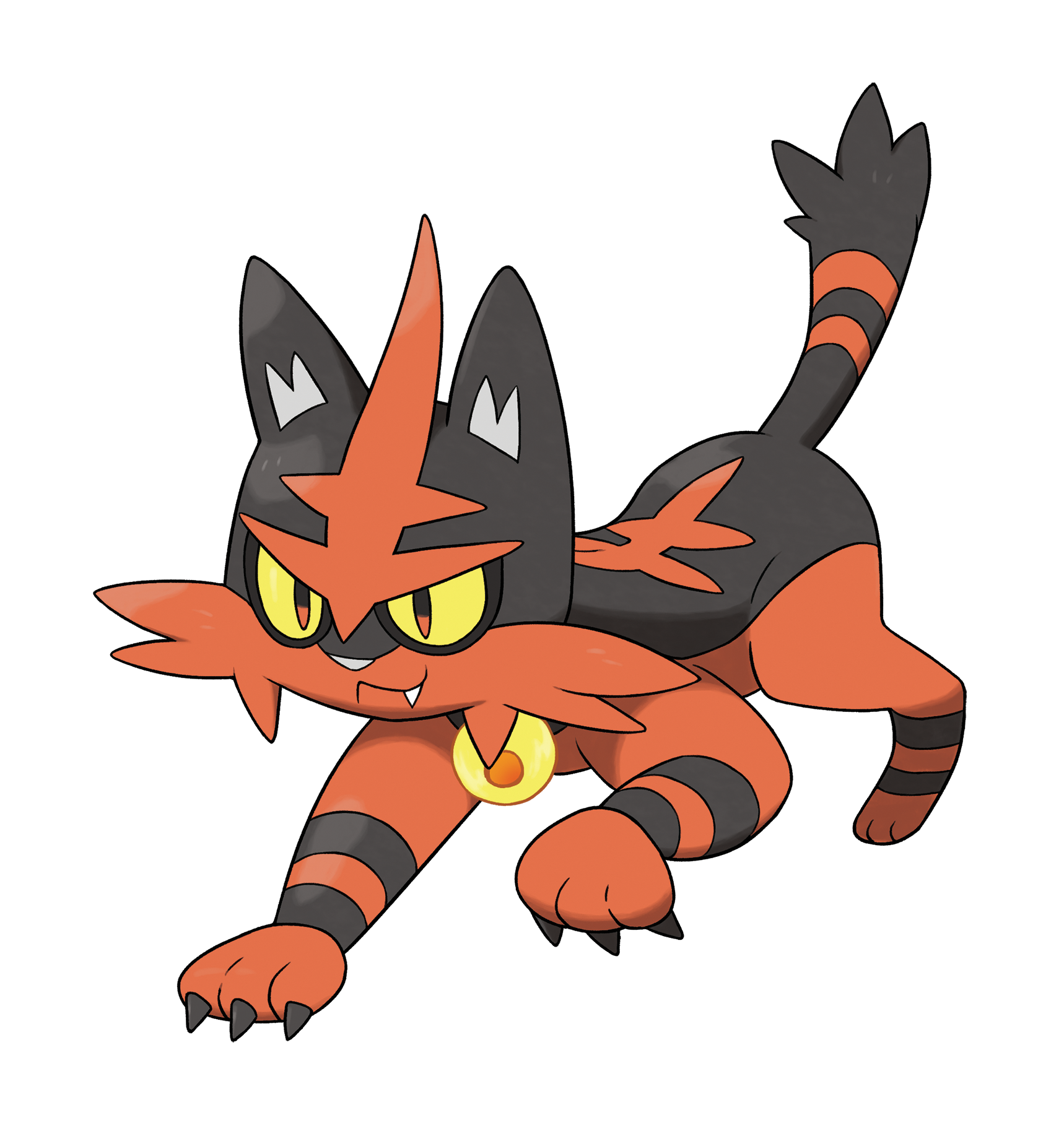 Weight: 55.1 lbs Torracat is the evolved form of Litten. 