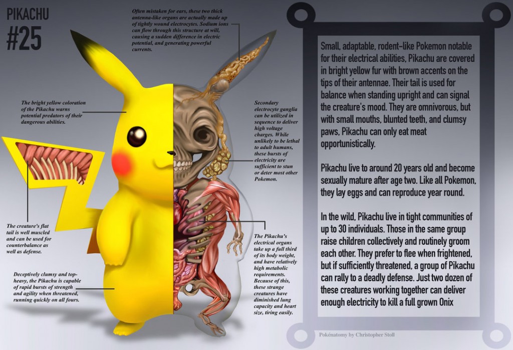 Pokenatomy Art Series Takes You Inside A Pokemon Pokémon